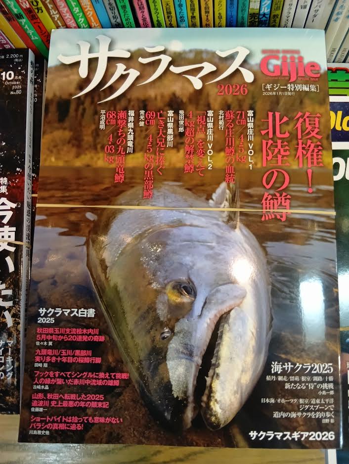 Gijie ギジー 29冊セット 雑誌 まとめ売り 釣り 渓流 鱒 サクラマス 芸文社「Gijieギジー」誌が休刊との事 綺麗な写真が印象的で、魅力的な