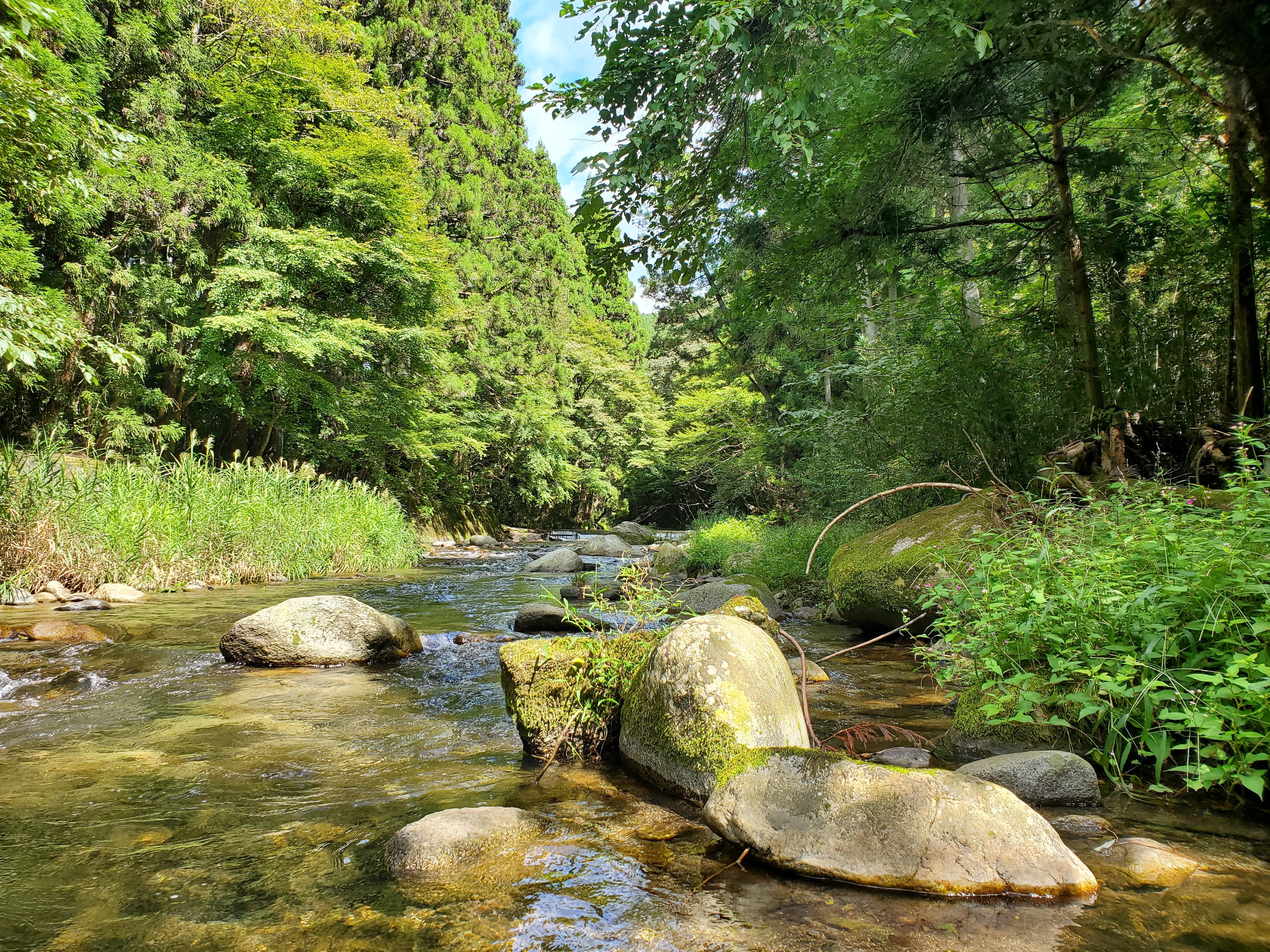 今シーズンの渓流ラスト釣行！【茨城県花園川】 – サンスイ - 釣具の