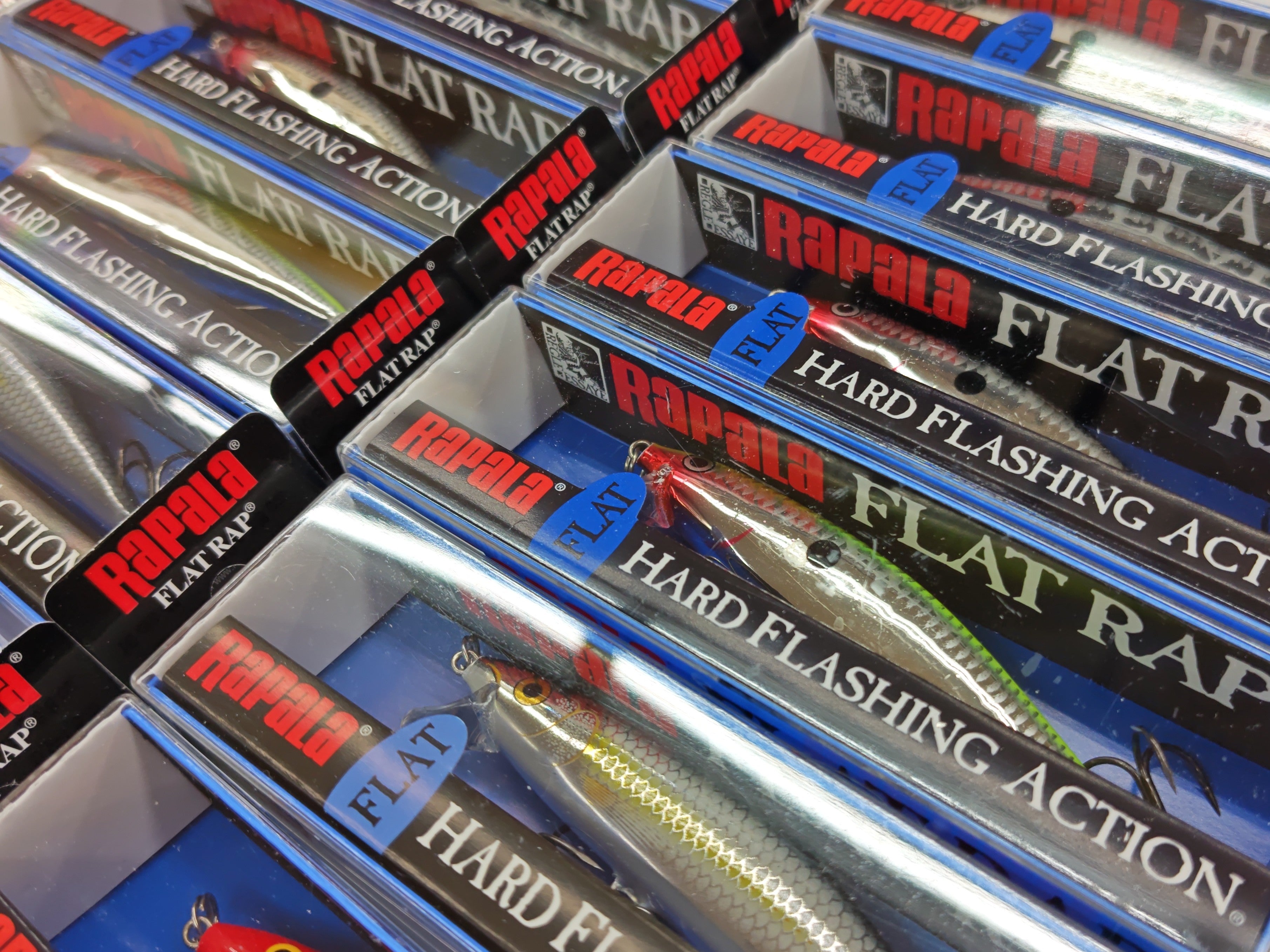 サンスイ上野店入荷情報！ラパラ【フラットラップFLR-10】 – サンスイ