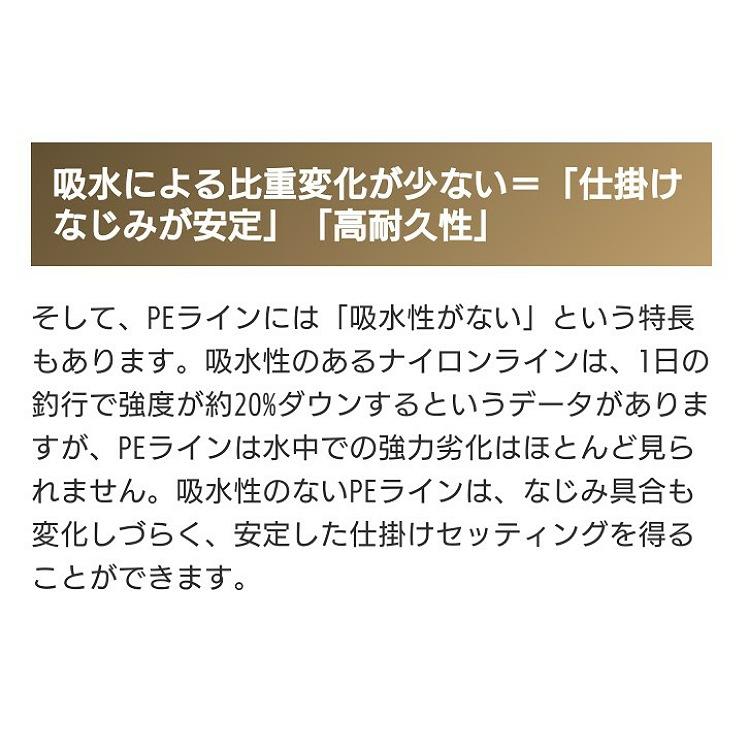 LIMITED PRO PE G5+ サスペンド PL-I55Q 0.8号