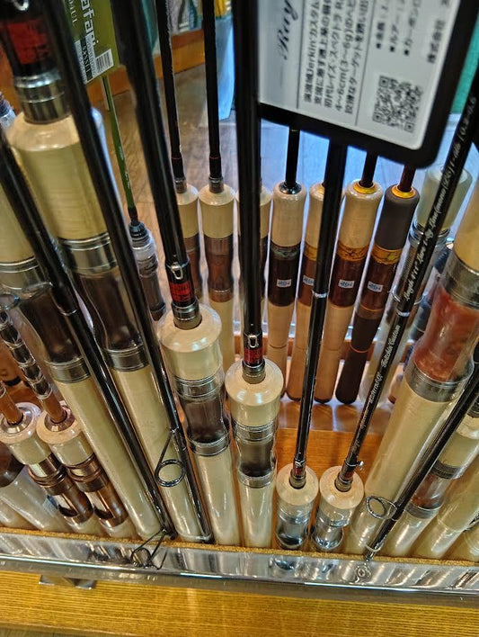 レイズスペクトラ