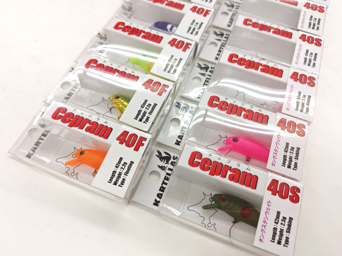 エリアからネイティブまで！カルテラス【チェプラム】