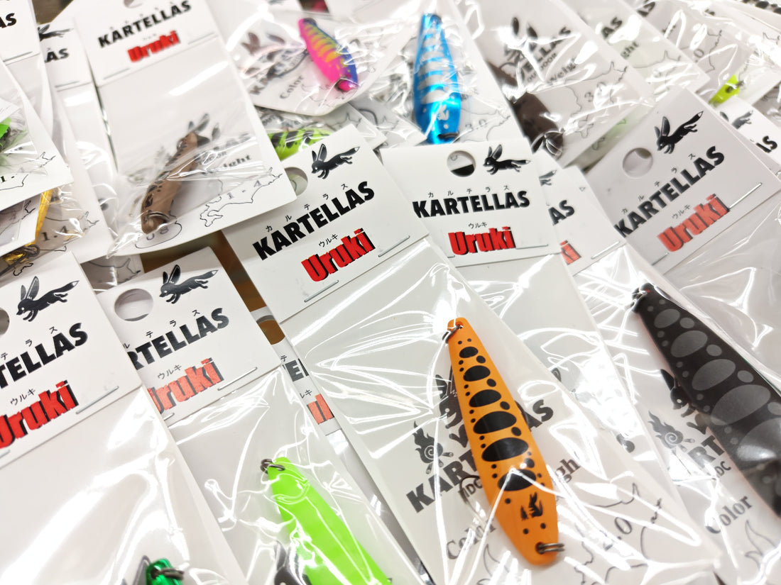 サンスイ上野店入荷情報！カルテラス【ウルキ】