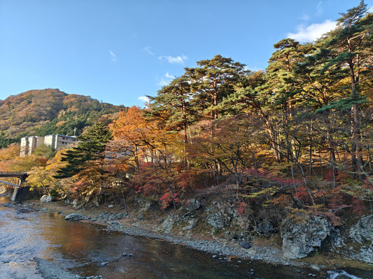 紅葉の箒川！上野店スタッフみんなでユーロニンフ釣行！