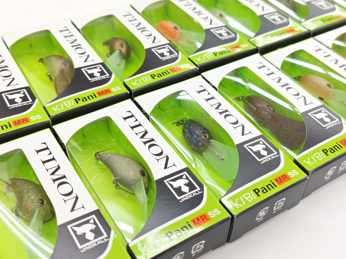 サンスイ上野店入荷情報！ティモン【キビパニMRSS】
