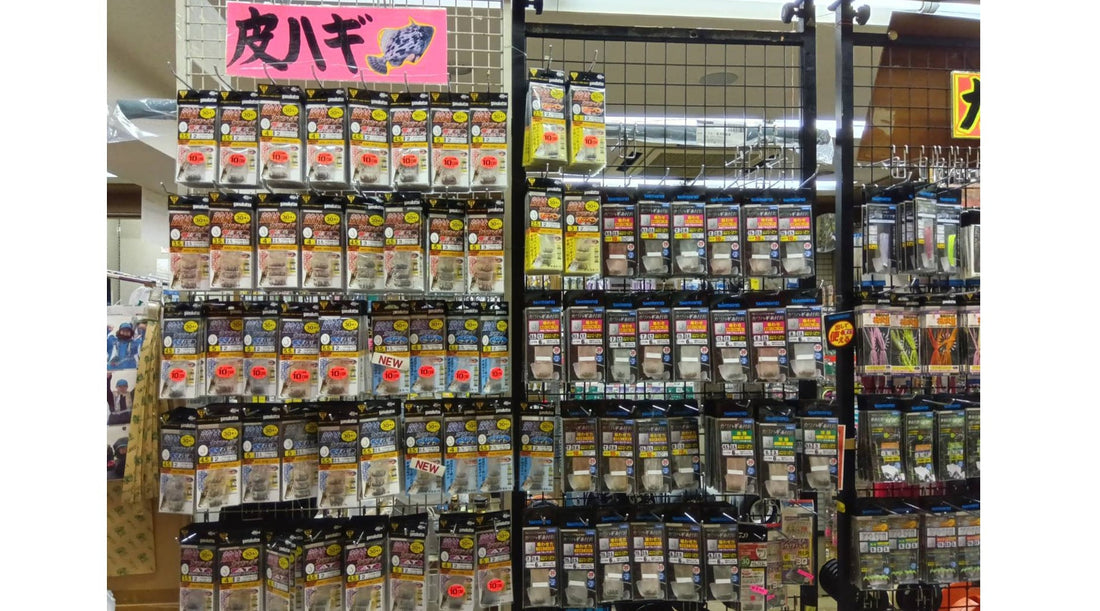 夏カワハギ釣り