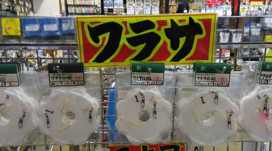 東京湾口ワラサ好調です！