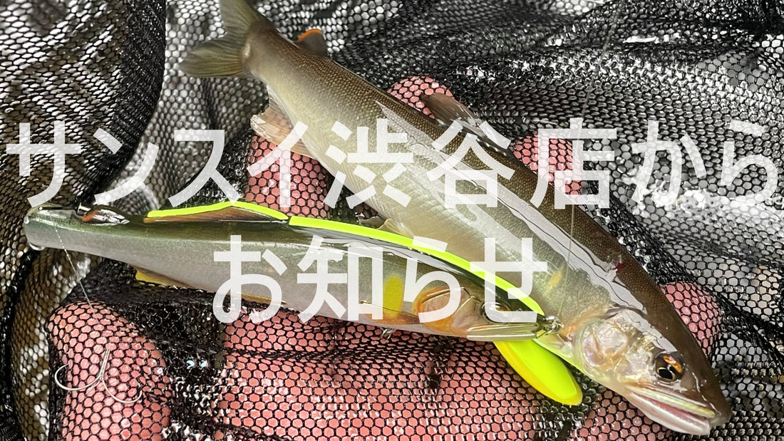 サンスイ渋谷店からお知らせ